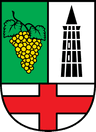 Wappen von Hatzenport