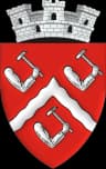 Wappen von Târgu Ocna