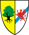 Coat of arms of Gmina Stara Dąbrowa