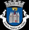 Wappen von Santa Maria da Feira