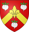 Coat of arms of Rabastens-de-Bigorre