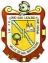 Coat of arms of Valle de Ignacio Allende