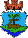 Coat of arms of Ryn