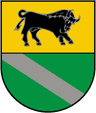 Coat of arms of Verkhnodniprovsk