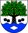 Wappen von Langenbach bei Kirburg