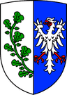 Wappen von Saalstadt