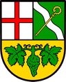 Wappen von Kasel