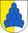 Wappen von Salenstein