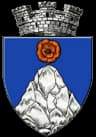 Coat of arms of Târgu Cărbunești