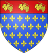 Wappen von Villeneuve-le-Roi