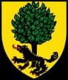 Coat of arms of Wolfsgraben