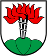Coat of arms of Reisiswil