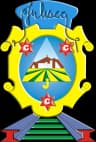 Coat of arms of Juliaca