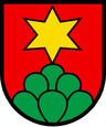 Coat of arms of Rohrbach