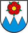 Coat of arms of Rumisberg