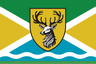 Coat of arms of Dieren