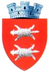Wappen von Buhuși