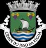 Coat of arms of Peso da Régua
