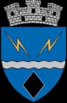 Coat of arms of Rovinari
