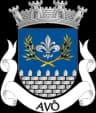 Wappen von Avô