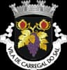 Wappen von Carregal do Sal