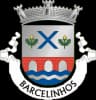Coat of arms of Barcelinhos