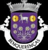Coat of arms of Benquerenças
