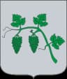 Wappen von Tschornotyssiw