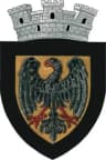 Coat of arms of Negrești