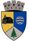 Coat of arms of Toplița