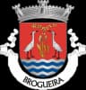 Coat of arms of Brogueira