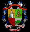 Coat of arms of Naguanagua