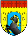 Wappen von Rajon Selwa