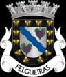 Wappen von Felgueiras
