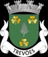 Wappen von Freguesia de Trevões