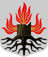 Wappen von Somero