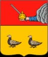 Wappen von Pinega