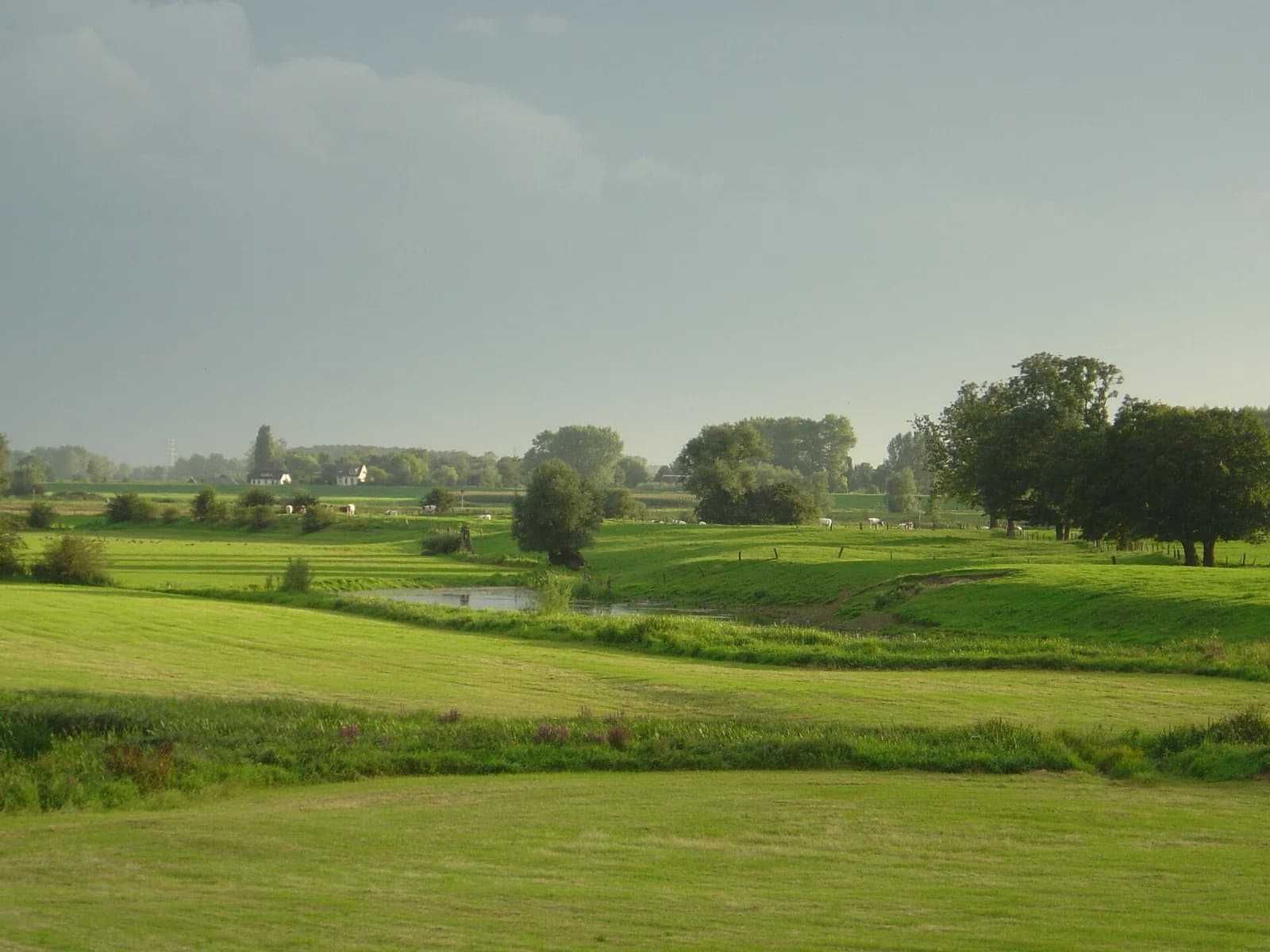Olst-Wijhe
