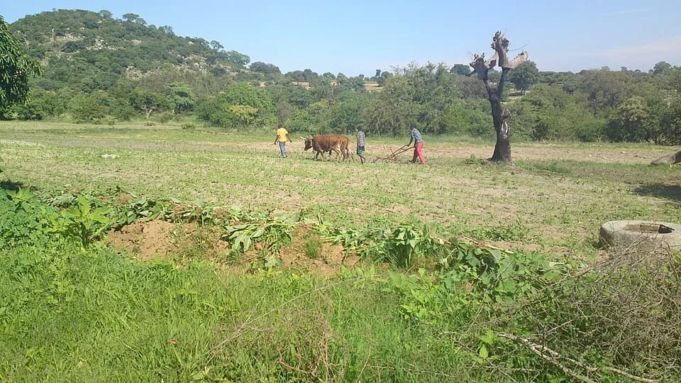 Buhera District