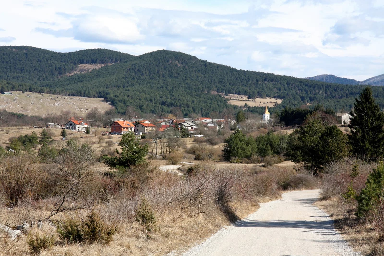 Palčje