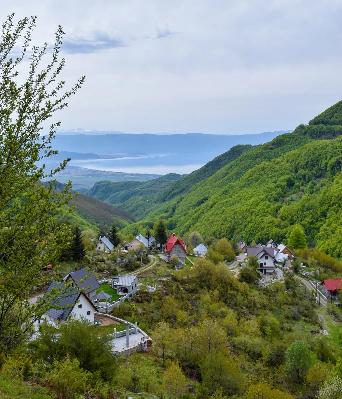 Gorna Belica