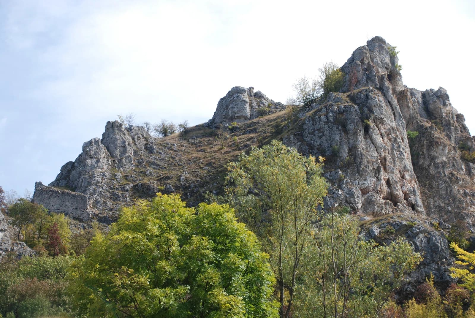 Vrmdža
