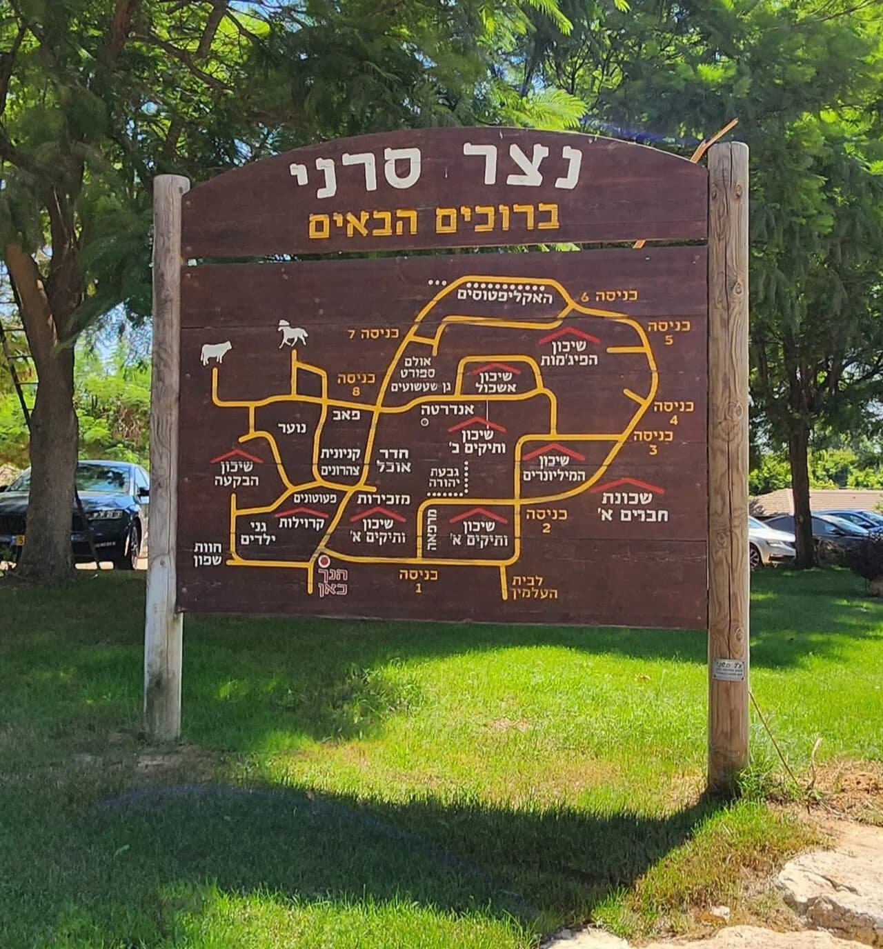Netzer Sereni