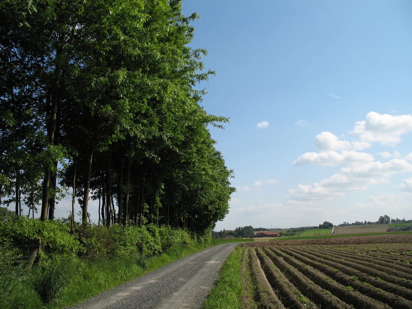 Ingooigem