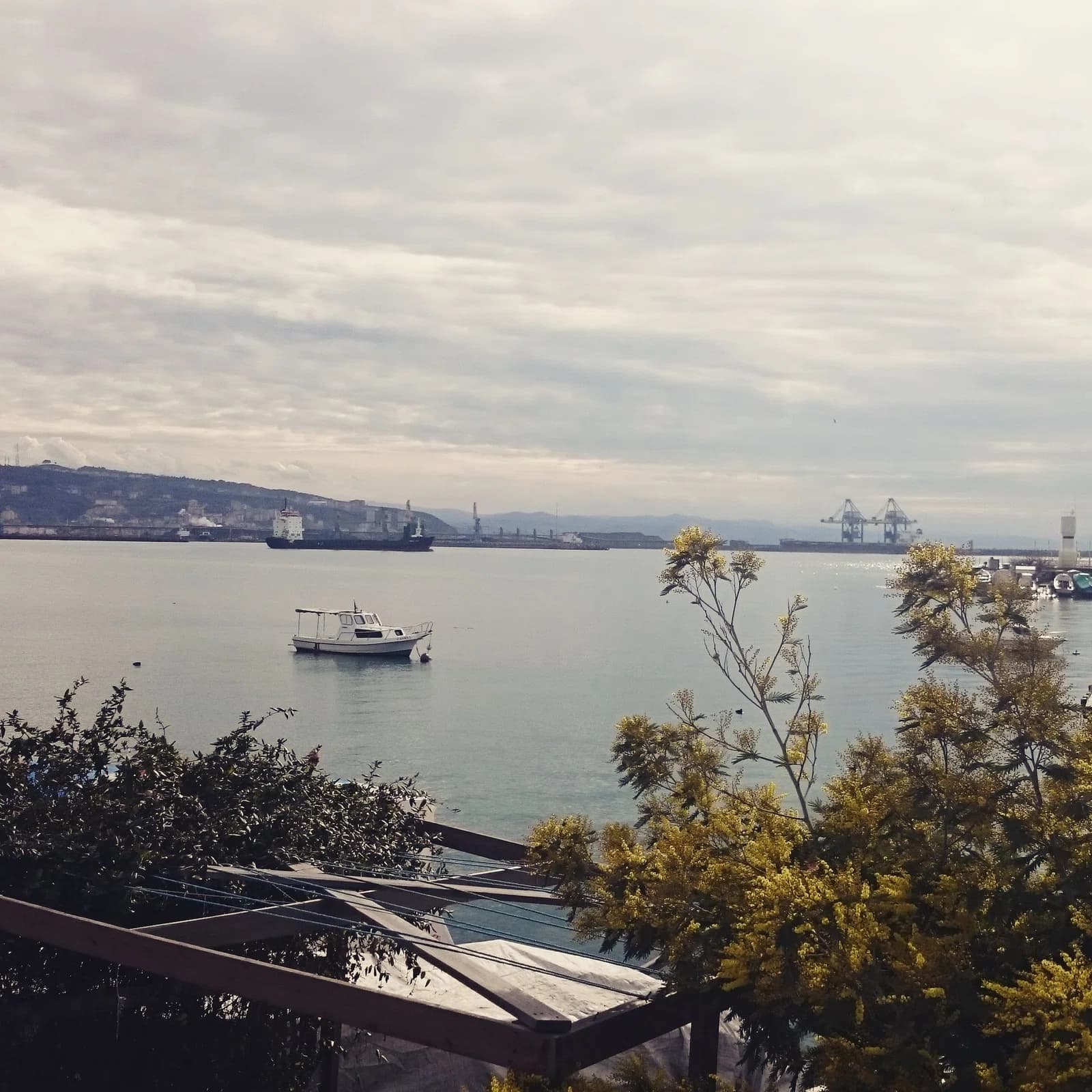 Ereğli