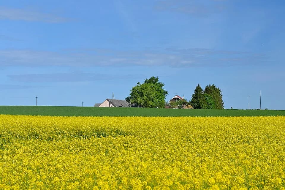 Kadrina Rural Municipality