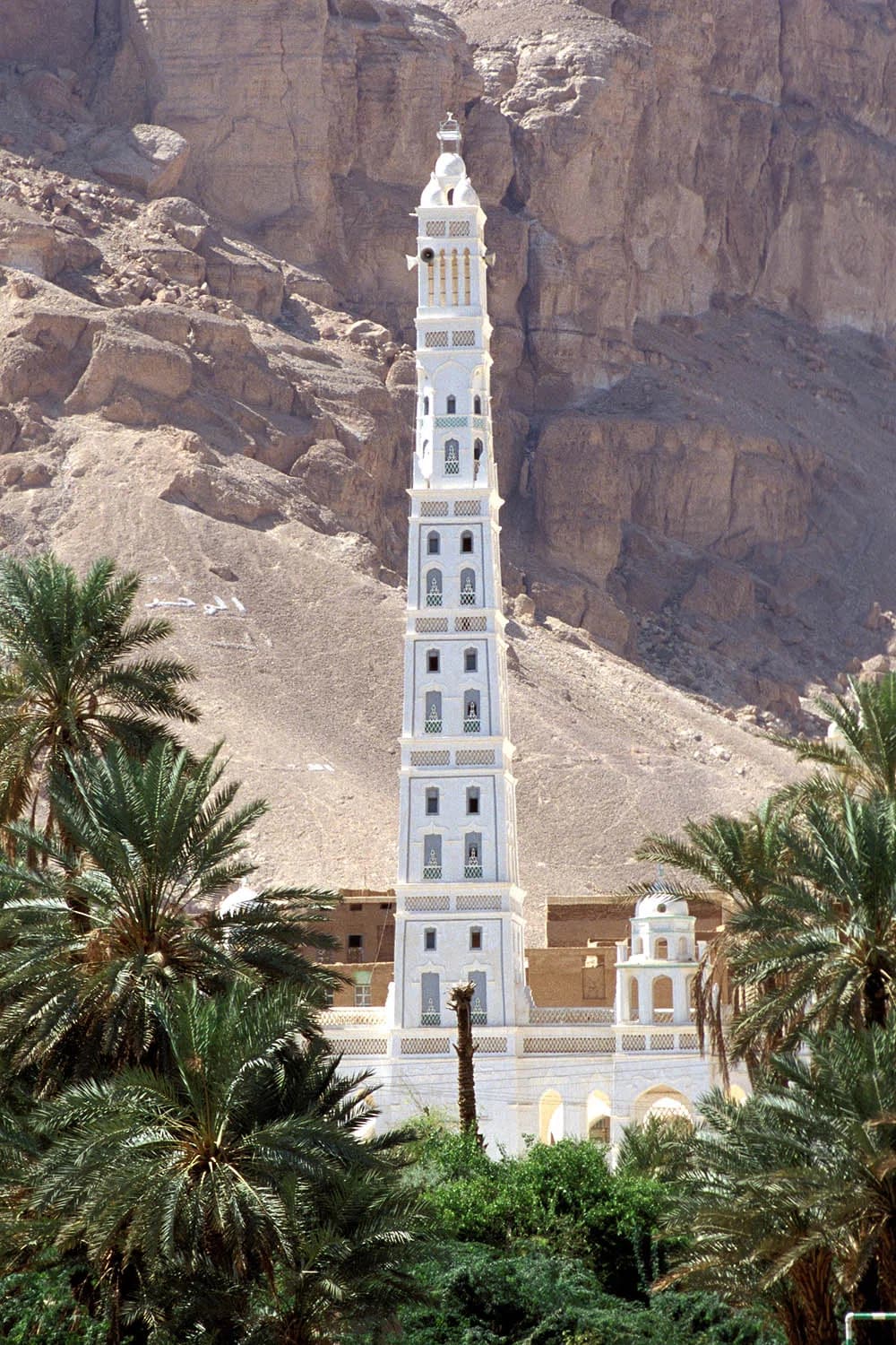 Tarim