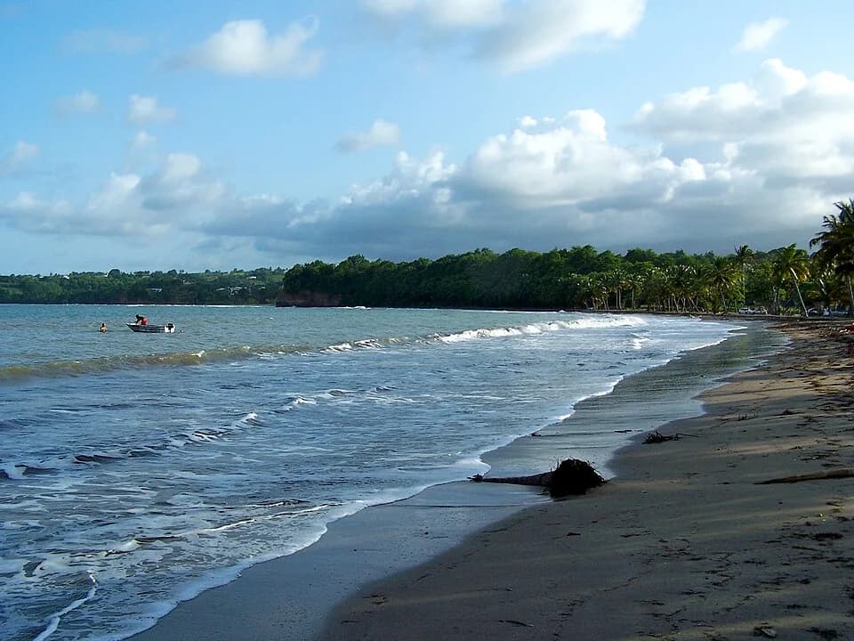 Goyave