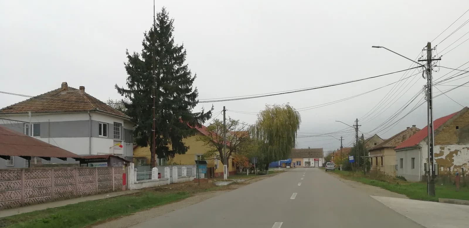 Peciu Nou