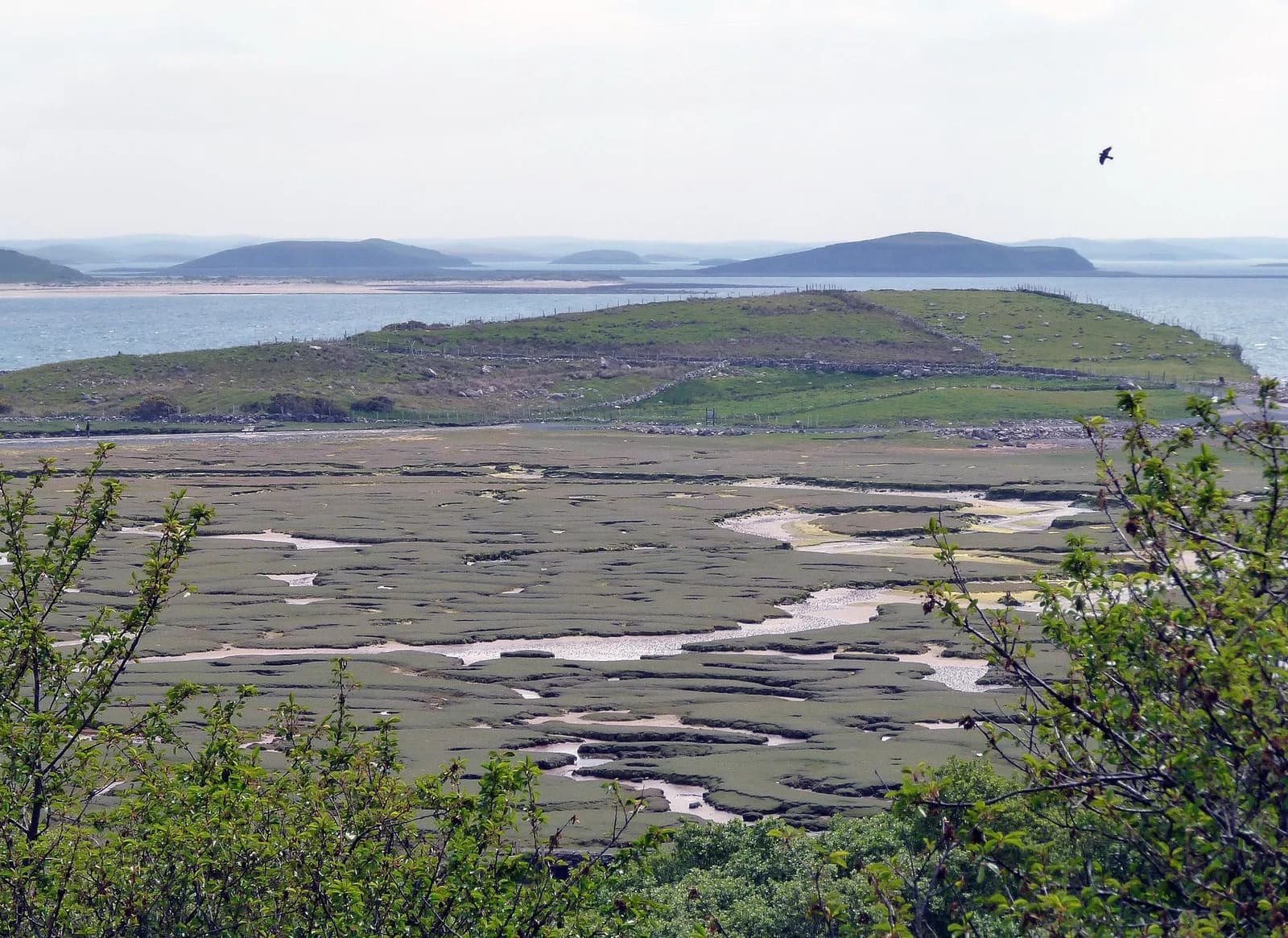 Mulranny
